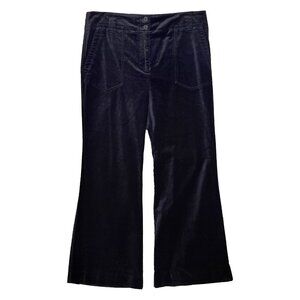 Anthropologie Maeve Naomi black velvet flared leg pants 24W